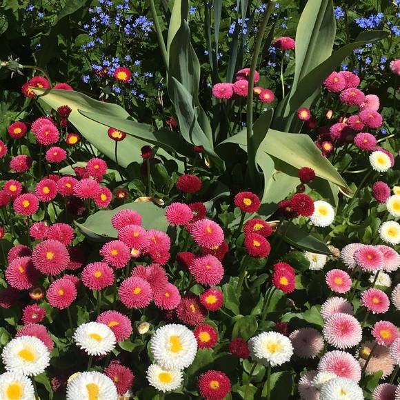 Meet your Posher, Aishiteru - Picture 1 of 1